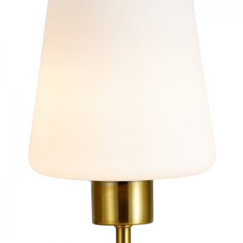 Интерьерная настольная лампа Clarity ES0002705