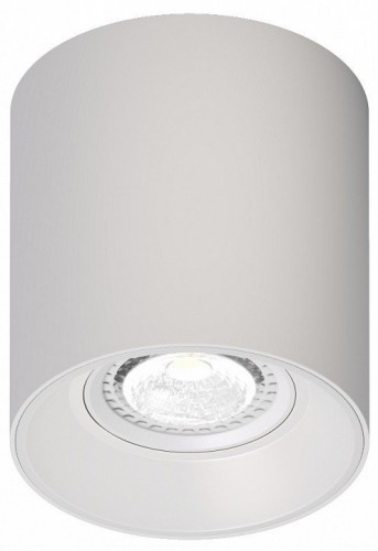 Потолочный светильник Denkirs DK3040-WH