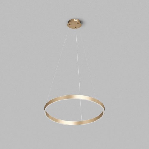 Подвесной светильник Denkirs RAYDIA DK6273-SG