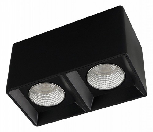 Накладной светильник Denkirs DK3085-BK+CH