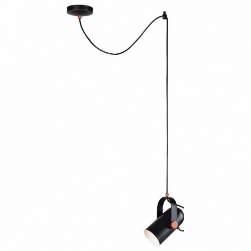 Подвесной светильник Favourite Ampolla 2007-1P Подвесной светильник Favourite Ampolla 2007-1P