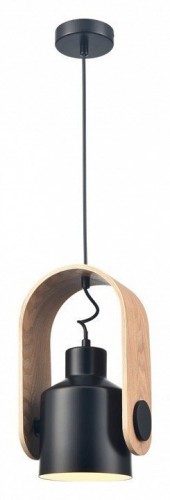 Подвесной светильник Velante 375-766-01 Подвесной светильник Velante 375-766-01