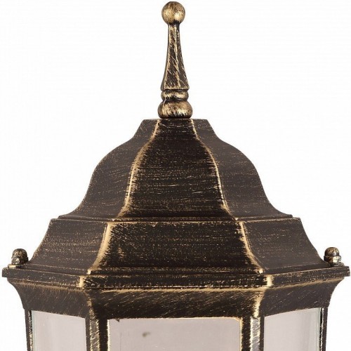 Уличный светильник Arte Lamp Pegasus A3151FN-1BN