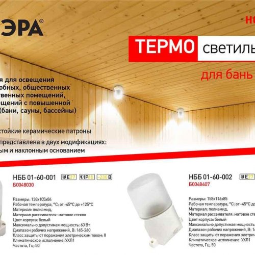 Потолочный светильник ЭРА Лидер НББ 01-60-001