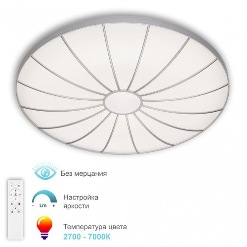 Потолочный светильник Turin 3306.B202-350 Silver