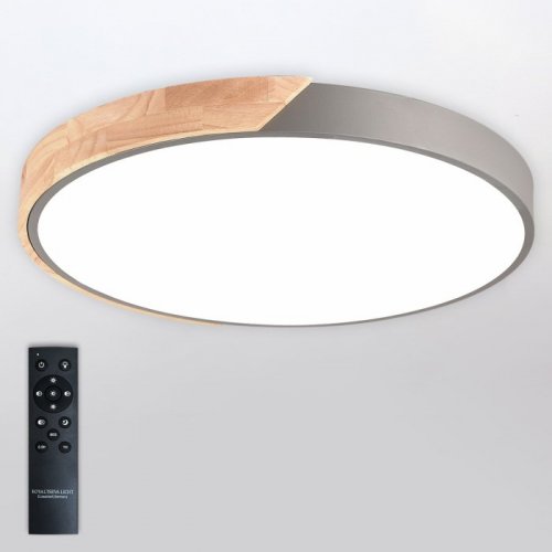 Потолочный светильник Scandinavian LED LAMPS 81184