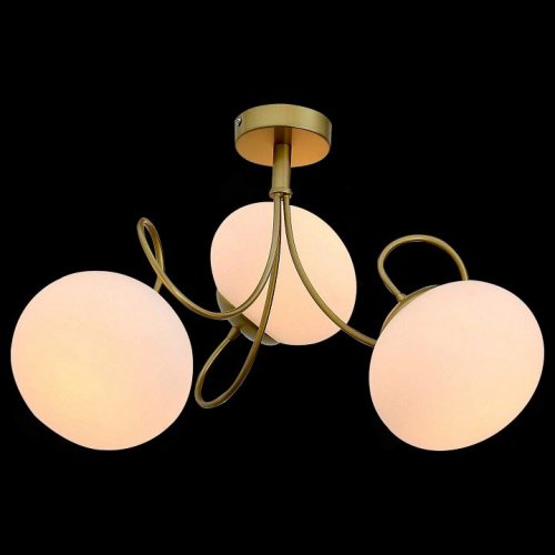 Потолочная люстра ST Luce Acini SL717.202.03