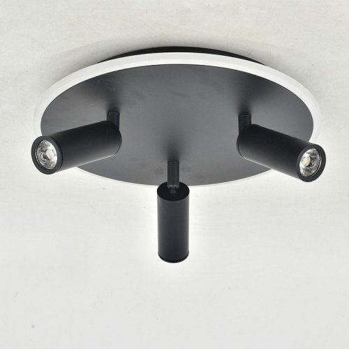 Потолочный светильник Escada 20046LED 20046SMA/03LED BK
