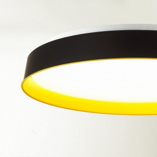 Настенно-потолочный светильник Tuna Yellow 7711/DL