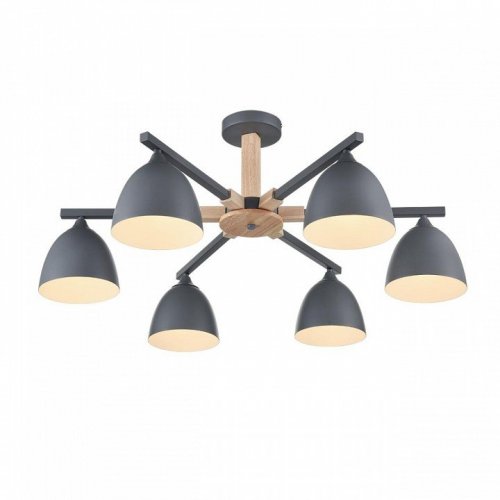 Потолочная люстра Lumion Colange 8096/6C Потолочная люстра Lumion Colange 8096/6C