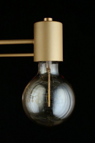 Потолочная люстра Aployt Elison APL.911.07.09 Потолочная люстра Aployt Elison APL.911.07.09