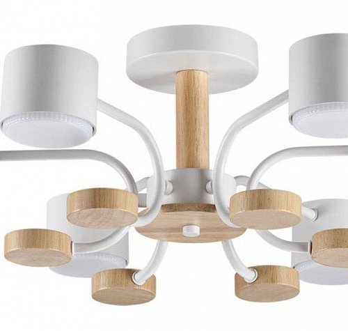 Потолочная люстра Lumion Rondo 8231/6C