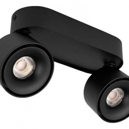 Спот Loft IT Focus 10323/2A Black