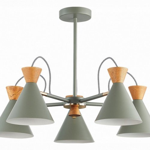 Потолочная люстра Evoluce Modica SLE125112-05 Потолочная люстра Evoluce Modica SLE125112-05