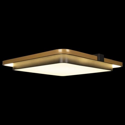 Потолочный светильник Loft IT Mike 10172