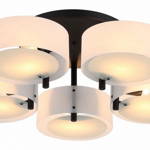 Потолочная люстра ST Luce Foresta SL483.402.05
