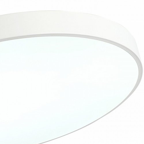Потолочный светильник Tortty ZRS.02564.96