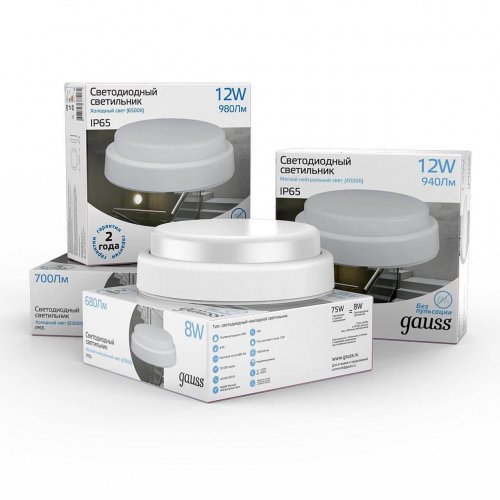 Уличный светодиодный светильник Gauss 126411312-S Уличный светодиодный светильник Gauss 126411312-S