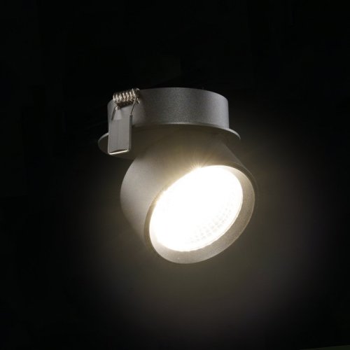 Точечный светильник Lumker RINK R-SRC-BL-WW