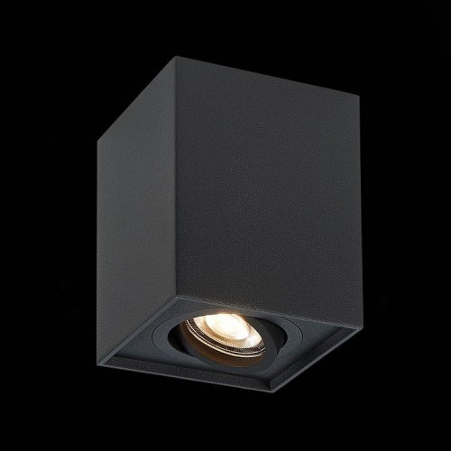 Потолочный светильник ST Luce ST109.407.01