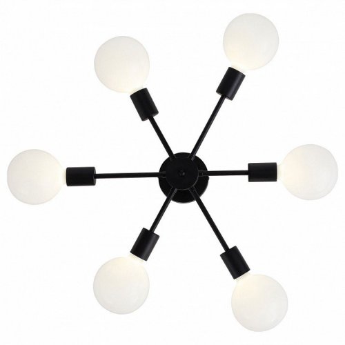 Потолочная люстра ST Luce Ano SL419.402.06