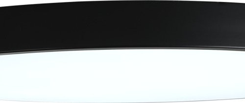 Потолочный светильник Zortes Tortty ZRS.02563.120