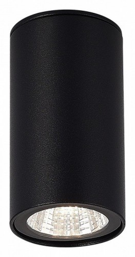 Потолочный светильник уличный ST Luce Tubo SL9514.402.01