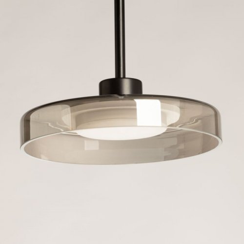 Подвесной светильник DeMarkt Стаут 702013501