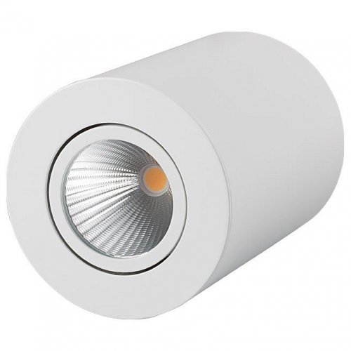 Накладной светильник Arlight Sp-focus-r SP-FOCUS-R90-9W Warm White Накладной светильник Arlight Sp-focus-r SP-FOCUS-R90-9W Warm White