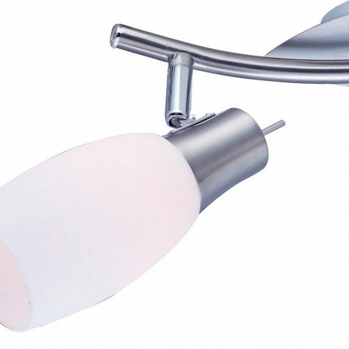 Настенно-потолочный светильник Arte Lamp Volare A4590AP-2SS