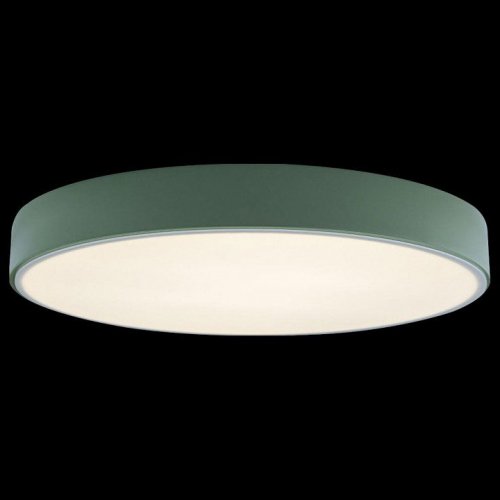 Потолочный светильник Loft IT Axel 10002/24 Green
