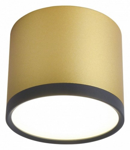 Потолочный светильник Favourite Baral 3082-2C Потолочный светильник Favourite Baral 3082-2C