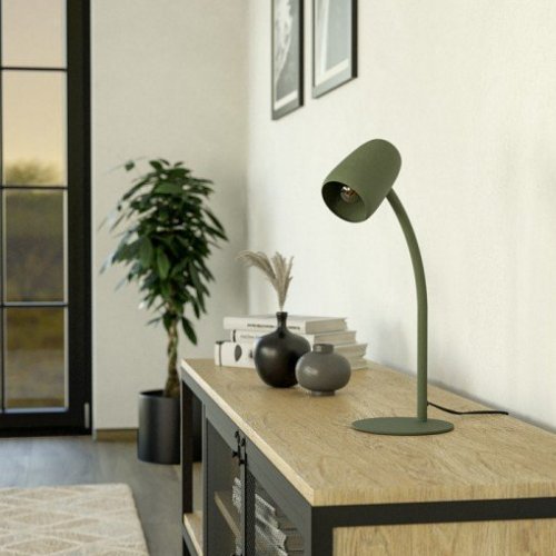 Интерьерная настольная лампа Eglo Carlo 901831