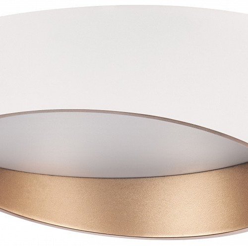 Накладной светильник Lightstar Celesta 809456 Накладной светильник Lightstar Celesta 809456