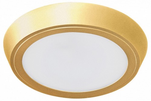 Настенно-потолочный светильник Lightstar Urbano 216934