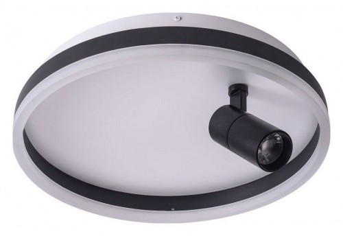 Потолочный светильник Zortes Raizy ZRS.1888.03