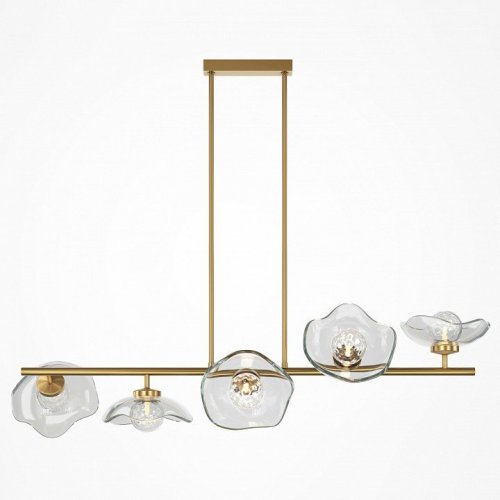 Потолочная люстра Maytoni Miracle MOD207PL-05BS