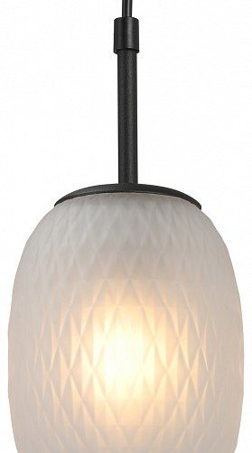 Потолочная люстра Vitaluce V28210-1/1S