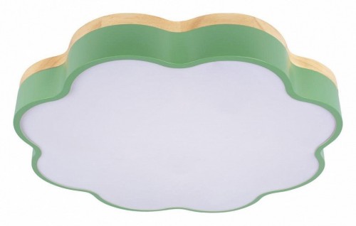 Потолочный светильник Loft IT Axel 10225/36 Green