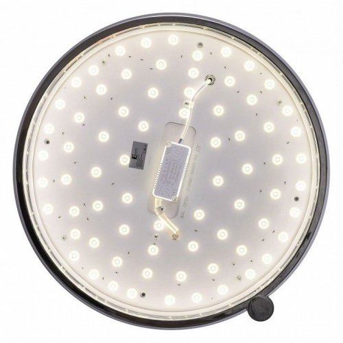 Потолочный светильник Zortes Gimpel ZRS.1209.16