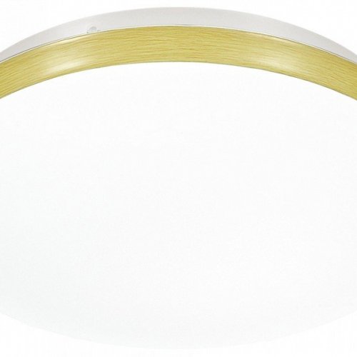 Настенно-потолочный светильник Sonex Smalli 3066/CL