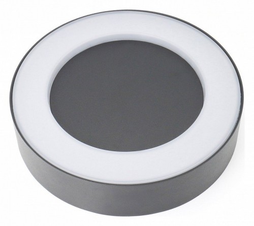 Уличный настенный светодиодный светильник Favourite Washer 2865-1W