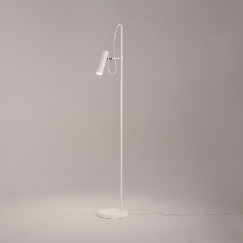 Торшер Maytoni Bansky MOD129FL-01W