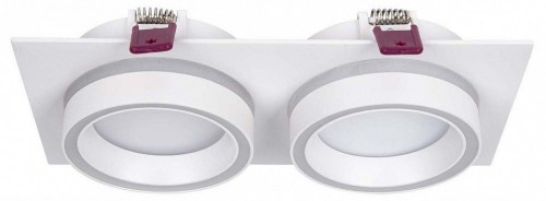 Встраиваемый светильник Favourite Vasto 4650-2C