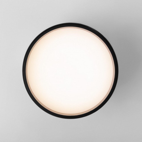 Потолочный светодиодный светильник Elektrostandard 25123/Led Banti 13Вт 4200K a058847