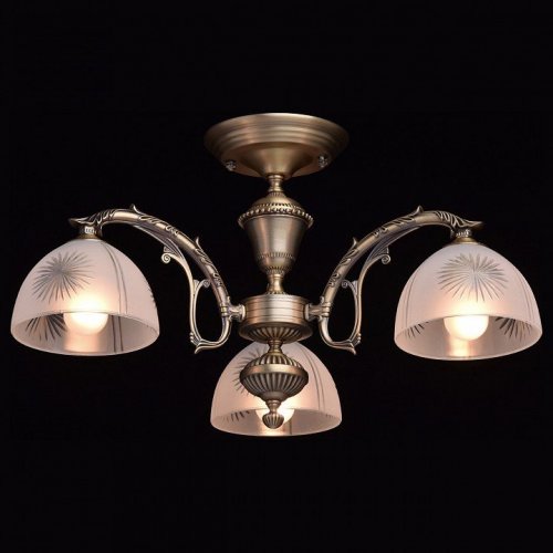 Потолочная люстра MW-Light Ариадна 450011503