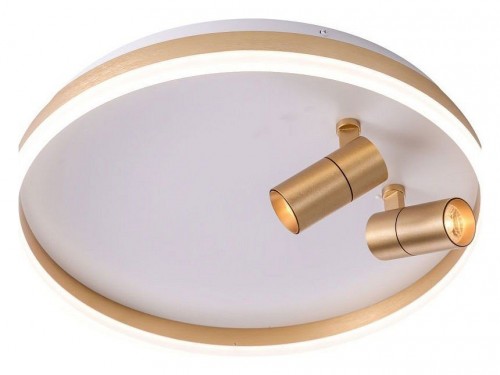 Потолочный светильник Zortes Raizy ZRS.1888.02