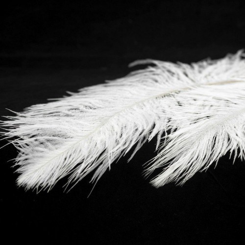 Подвесная люстра Lussole LSP-8601 Подвесная люстра Lussole LSP-8601