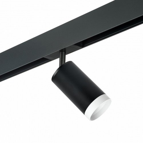 Светильник на штанге Lightstar Rullo PRO4373436 Светильник на штанге Lightstar Rullo PRO4373436