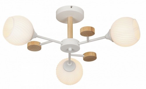 Люстра на штанге Rivoli Chiara Б0068427 Люстра на штанге Rivoli Chiara Б0068427